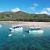 Aquascene Magnetic Island Snorkelling Tour